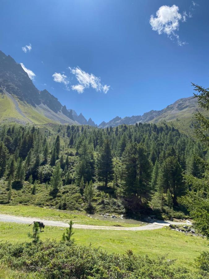 Apart Wiesenplatzl Kaunertal Bagian luar foto